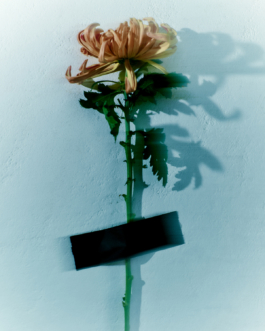 REBECCA HARRISON PRODUCTION & ART BUYING